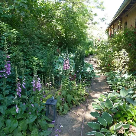 Appartement Eva New Schwarzenhof